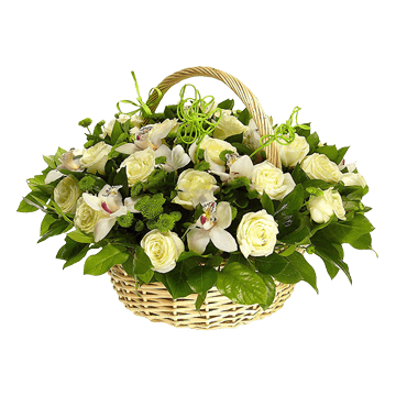 Волшебная страна