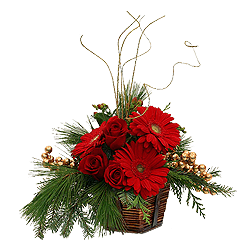 Рождественский сюрприз