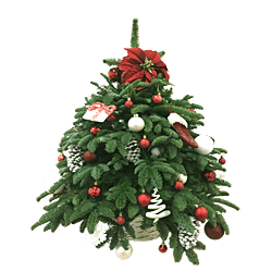 Волшебная ёлочка