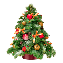 Зимняя сказка